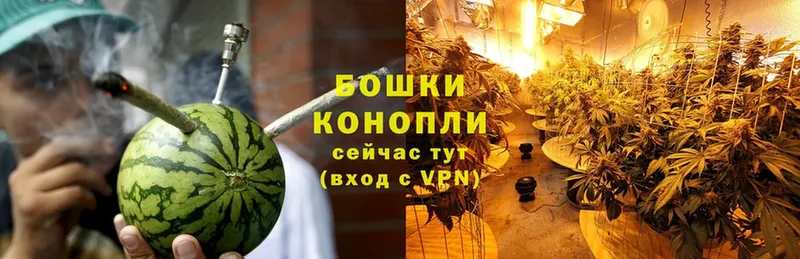 Шишки марихуана план  даркнет сайт  гидра онион  Надым 